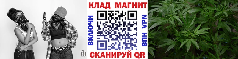 Где купить Нижняя Тура Канабис Alpha PVP Гашиш Меф мяу мяу Cocaine