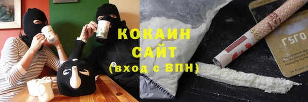 крисы Абаза