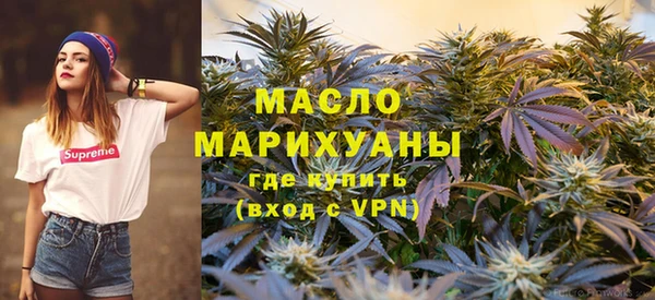 крисы Абаза