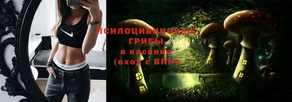 крисы Абаза