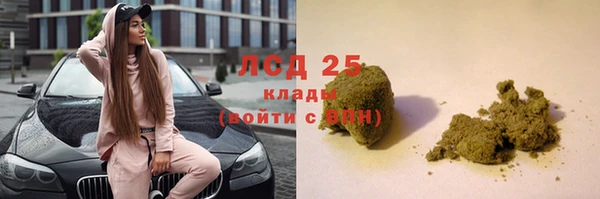 крисы Абаза