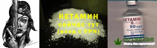 крисы Абаза