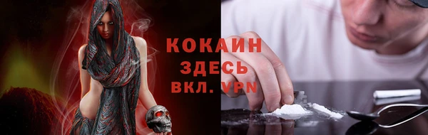 крисы Абаза