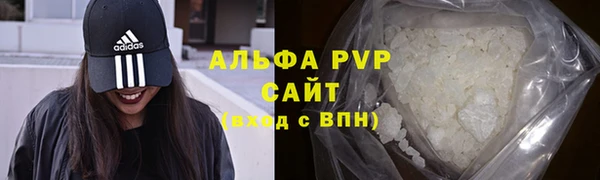 крисы Абаза