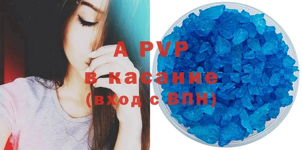 крисы Абаза